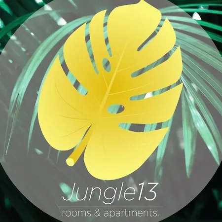 Jungle 13 - Room And Apartments-2